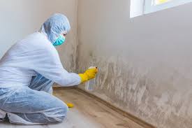 Best Mold Odor Removal Services  in Chickasaw, AL